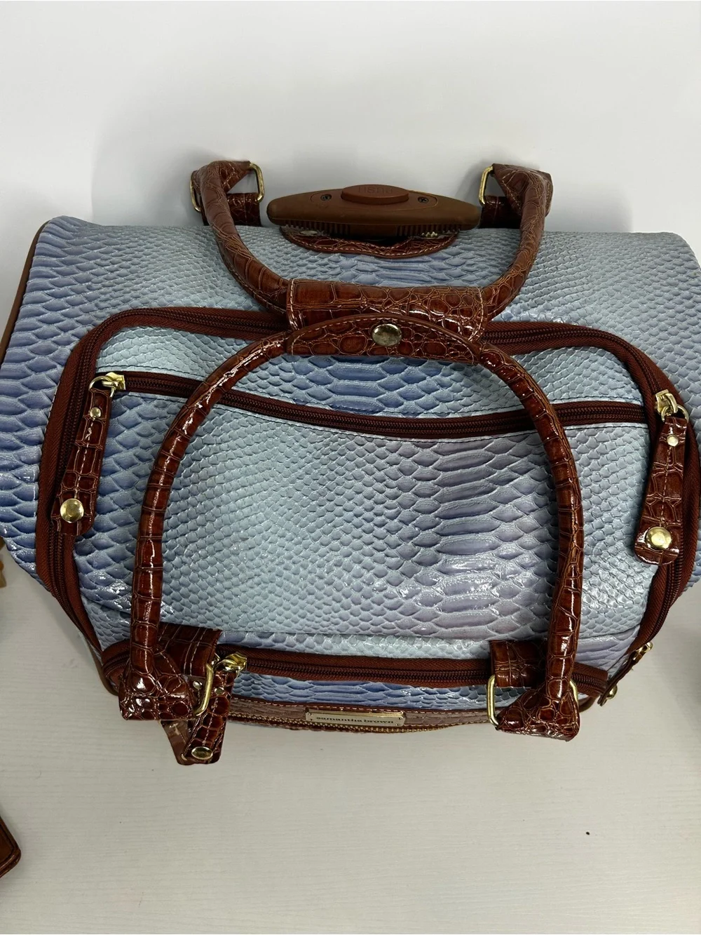 Samantha Brown travel tote